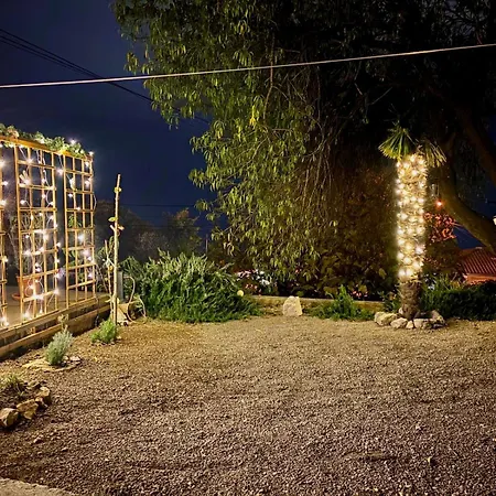 Javor קוסטרנה