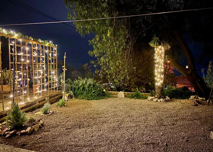 Javor كوسترينا